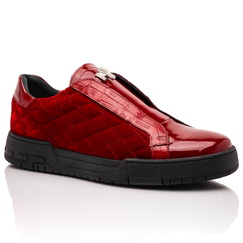 REGATA - ART 8478/10