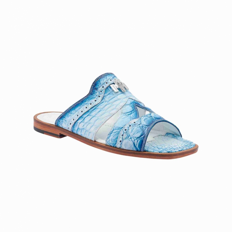 ART 1858/5 ALLIGATOR WHITE DIRTY ROYAL BLUE