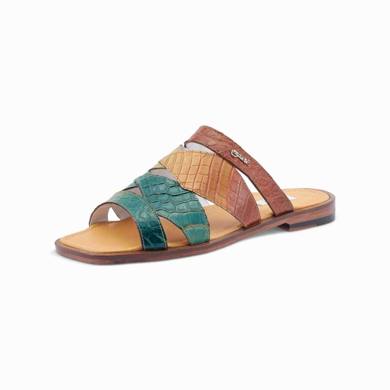ART 1492/2 ALLIGATOR MULTICOUNTRY