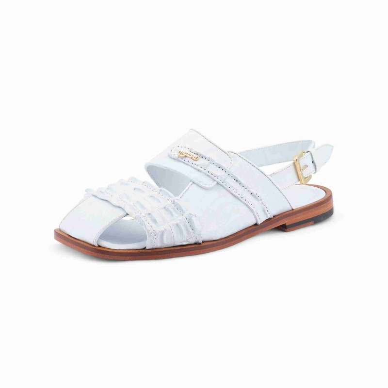 ART 5171 OSTRICH LEG/ HORNBACK WHITE