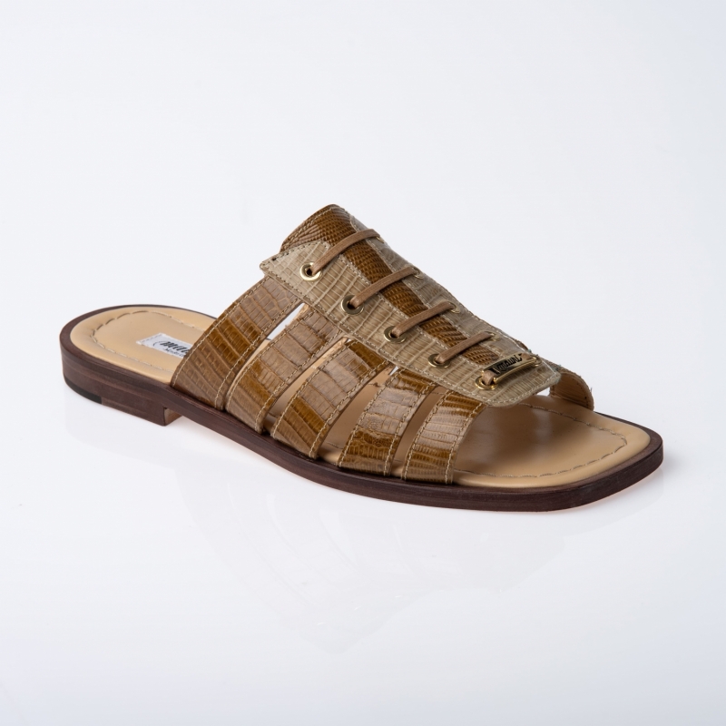 ART. 5231 TEJUS ALBATROS & MUSTARD